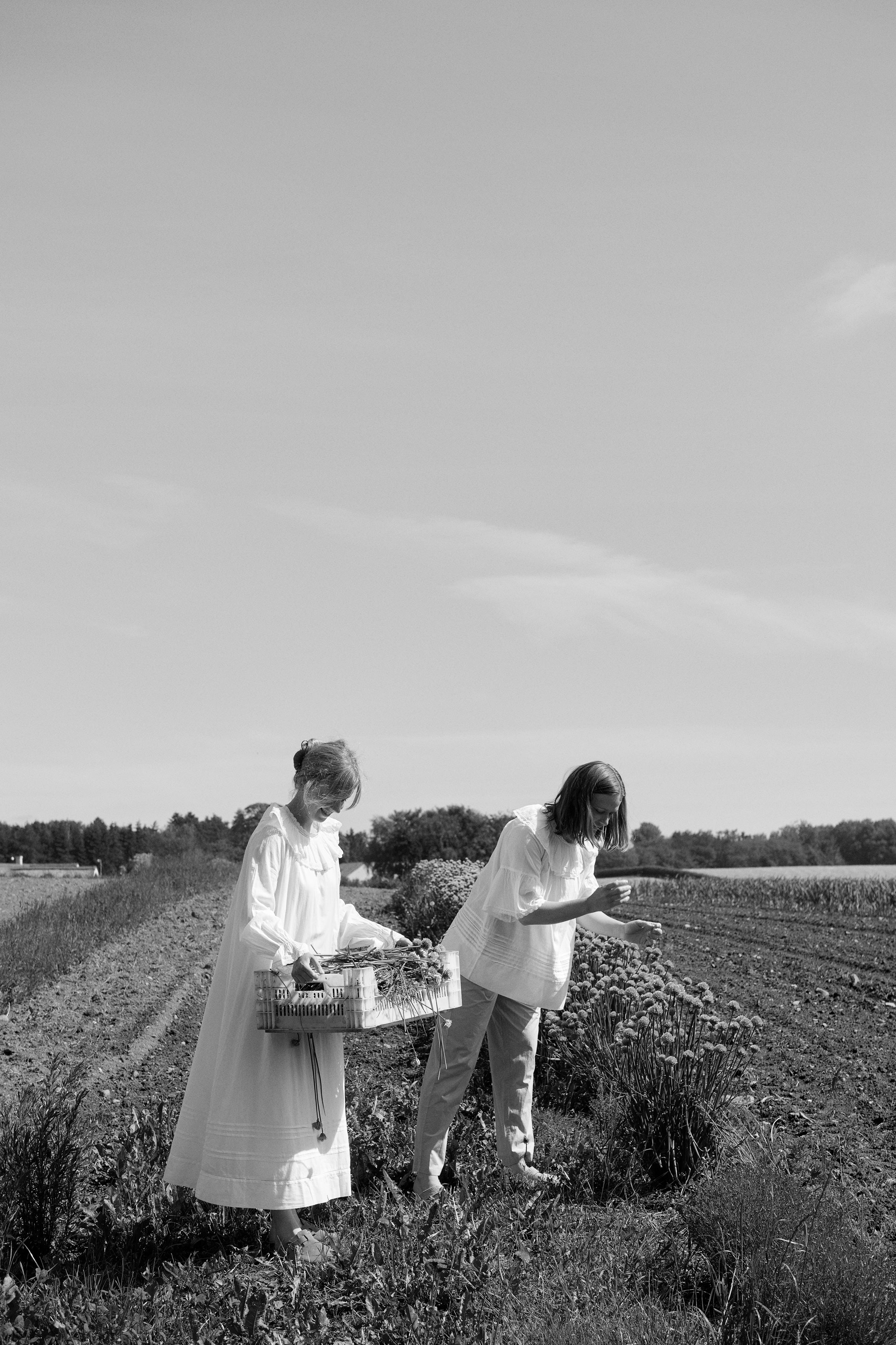 Skall letter No. 35 - Line Bak and Kamilla Rønnestad